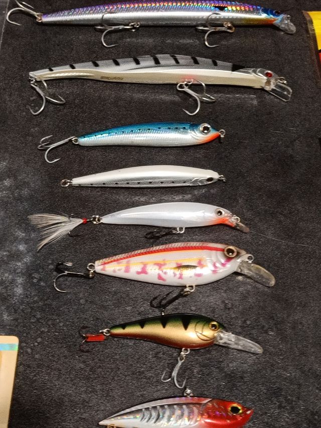 Artificiali da pesca assortiti spinning e traina