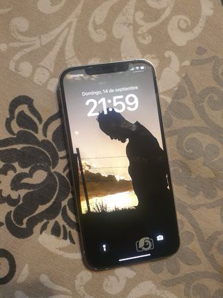 iPhone 12 Pro Max 128GB Plata
