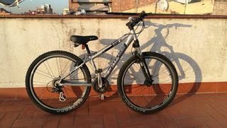 Bicicleta de Montaña PRO-FLEX Talla XS