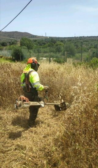 Jardinero económico