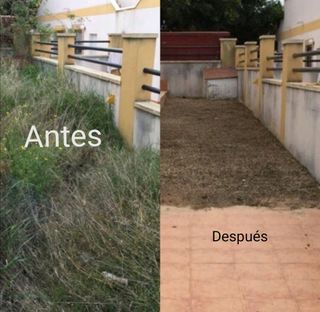 Jardinero económico