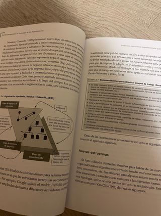 Nuevas Perspectivas en Psicología de las Organi...