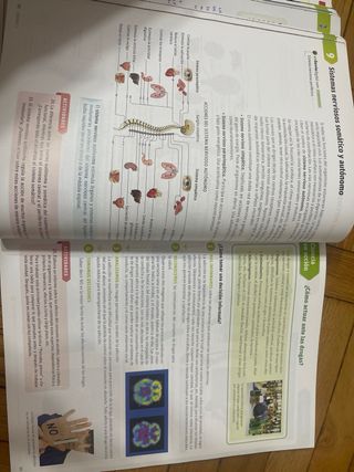 Biología y geología, Arce. 3 ESO. Savia