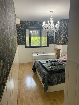 Empapeladore Profesionales