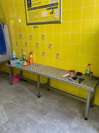 peluquería canina 