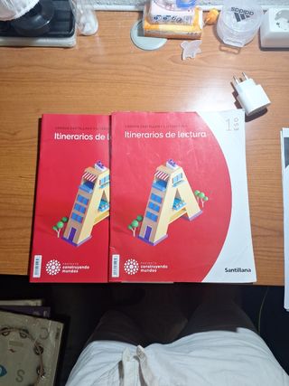 Lengua castellana y literatura 1 eso