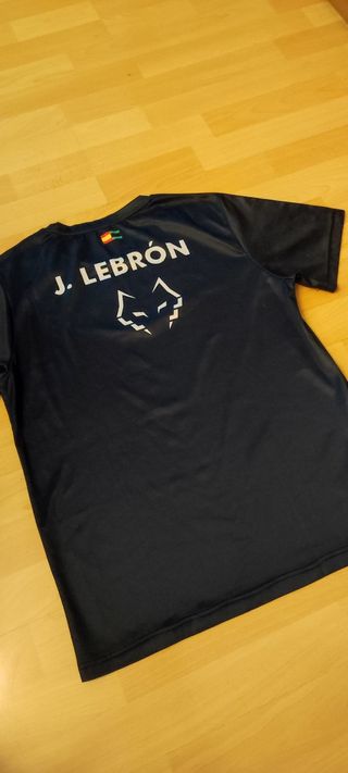 *NUEVA* Camiseta Lebrón