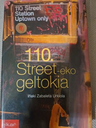 110. street-eko geltokia