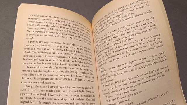 Libro THE BEACH en inglés (English)