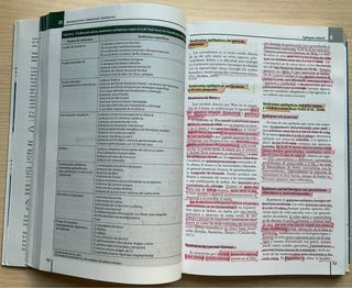 Neuropsicología del Desarrollo