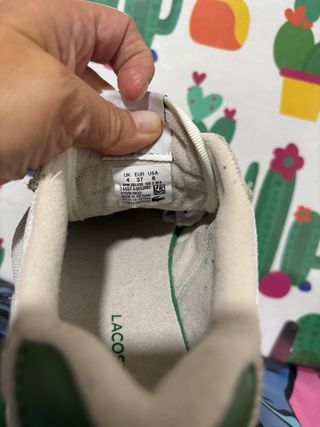 Zapatillas Lacoste Beige y Verde