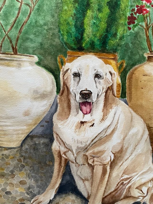 Tu perro o mascota en acuarela