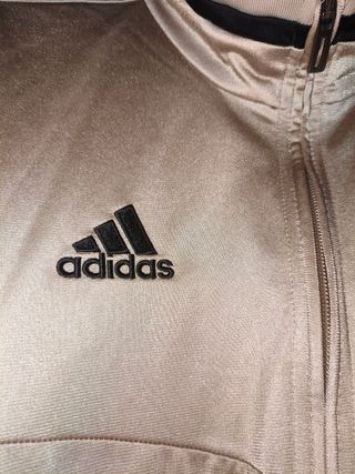 Chándal Real Madrid 2019/2020 Adidas Plata