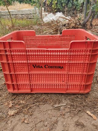 Cajas de vendimia Viña Costeira
