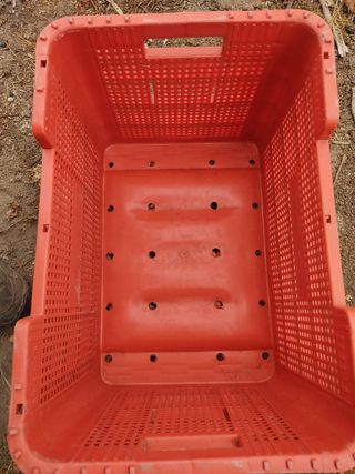 Cajas de vendimia Viña Costeira