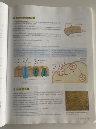 BIOLOGÍA Y GEOLOGIA