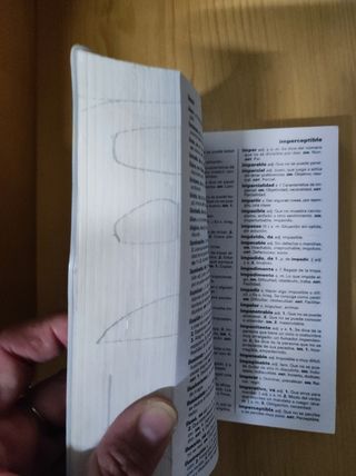 Diccionario de lengua castellana