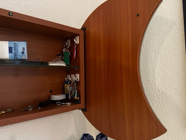 Armario recibidor con 2 puertas espejos gemelos