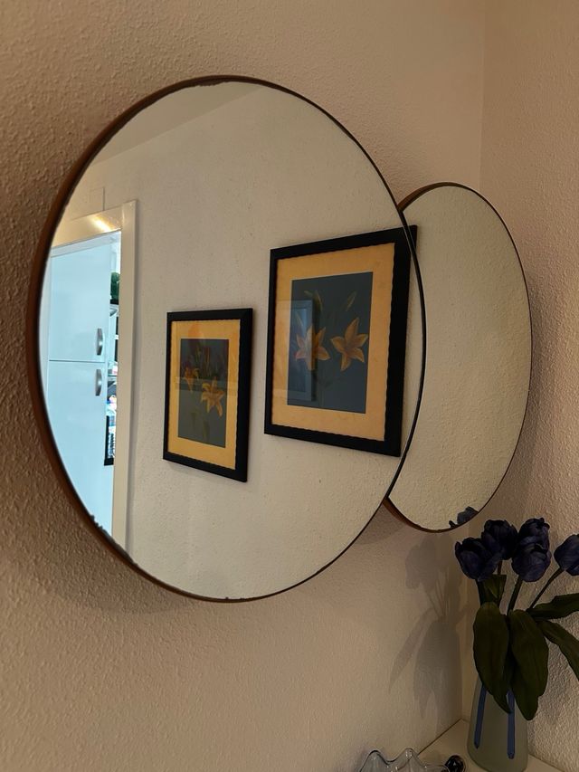 Armario recibidor con 2 puertas espejos gemelos