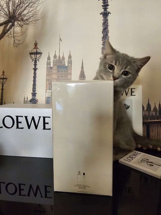 Loewe 7 Eau de Toilette Estuche 150ml+20ml