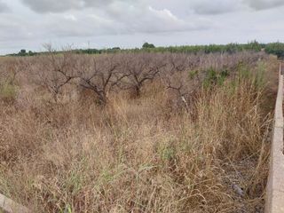 Terreno en venta en Polígono Font de Musa, Benifai