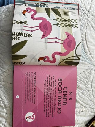 50 cosas que no sabes de los animales