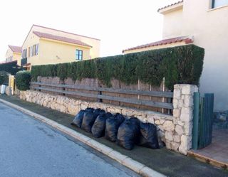 Jardinero económico