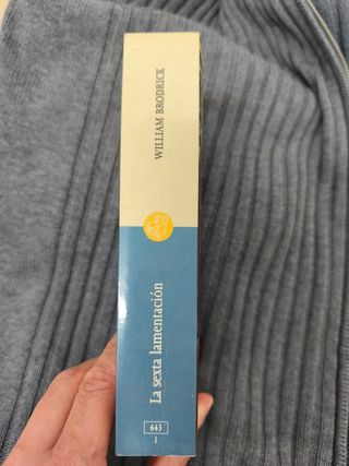 Sexta Lamentacion La