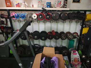 Mancuernas y discos de gimnasio