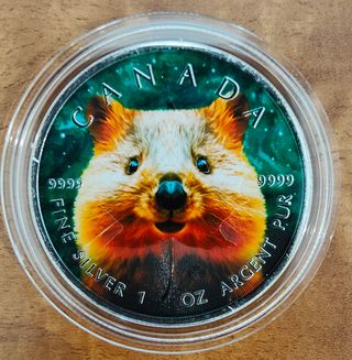 Monete canadesi in argento puro da 1 Oz 9999