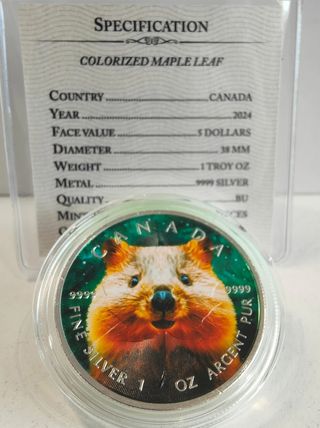 Monete canadesi in argento puro da 1 Oz 9999