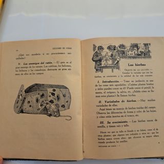 Libro antiguo “Lecciones de Cosas" 1940