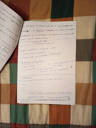 Apuntes asignatura Antropología e Historia