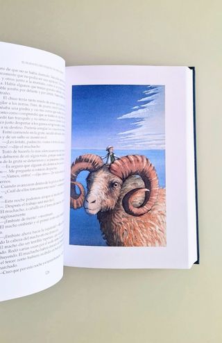 El maravilloso viaje de Nils Holgersson, Anaya 