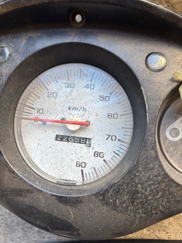 Despiece Honda X8RS 49 50 CC