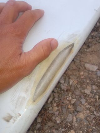 Tabla de surf longboard