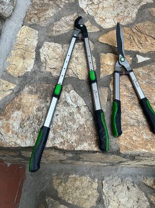 Cortasetos Golia Extensibles