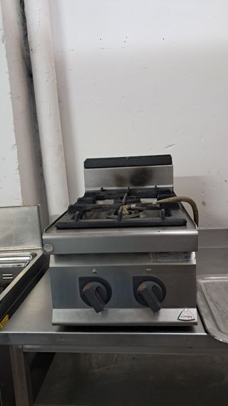 Cocina Industrial de Gas 2 Fuegos