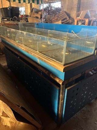 Piscina Acuario Dividido