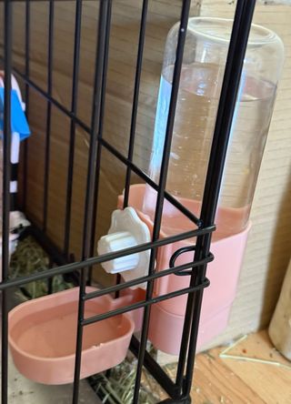 Dispensador de agua para mascotas rosa