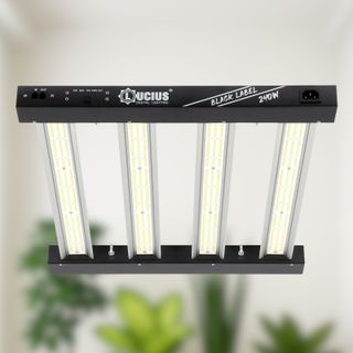 Foco LED Lucius 240w Cultivo