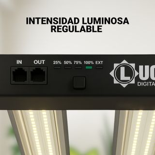 Foco LED Lucius 240w Cultivo