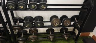 Mancuernas (soporte no incluido)