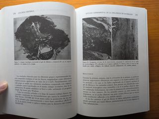 Columna Vertebral - Libro de medicina