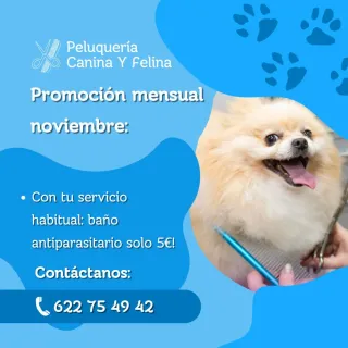 Peluquera canina y felina.