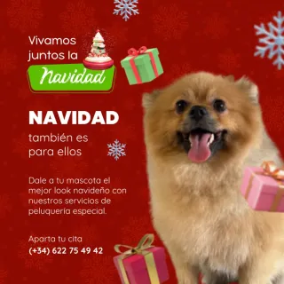 Peluquera canina y felina.