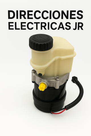 Bomba Dirección Eléctrica 491107211R