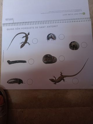 Ciències i experimentació