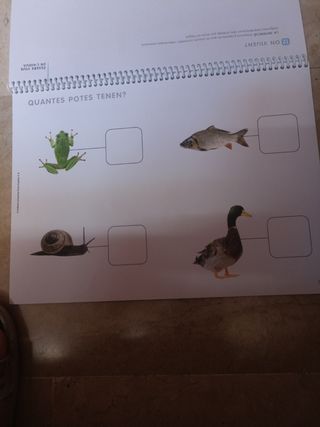 Ciències i experimentació