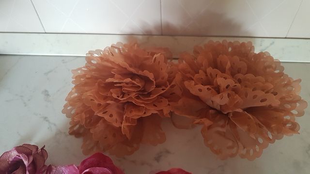 Fernatende beige e rosa